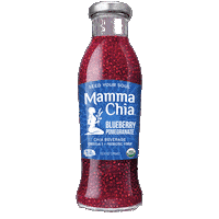 Chia Seeds Blueberry Sticker by Mamma Chia