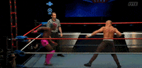 Punch Fist GIF by United Wrestling Network
