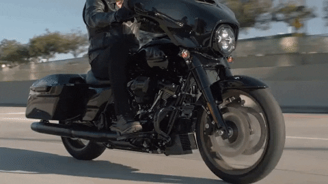 Brand Adventure GIF by Harley-Davidson