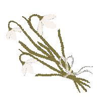 Flowers Spring Sticker