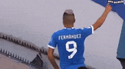 Universidad De Chile GIF
