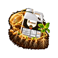 Laboase Sticker by laboase_oficial