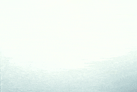 Animation Coffee GIF by Northwest Film Forum