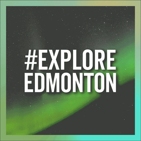 Northern Lights Aurora Borealis GIF by Explore Edmonton