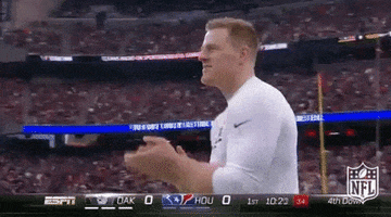 houston texans jj watt GIF by NFL