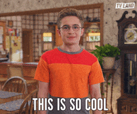awesome the goldbergs GIF by TV Land