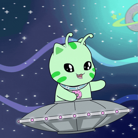 Happy Space X GIF by Chubbiverse