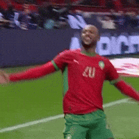 Goal Morocco GIF