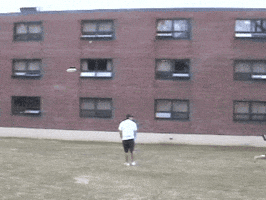 Dive Frisbee GIF by PureADK