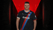 Happy Holstein Kiel GIF by Bundesliga