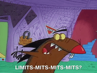 nickrewind nicksplat angry beavers GIF