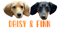 Dog Sticker