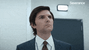 Adam Scott Yes GIF by Apple TV