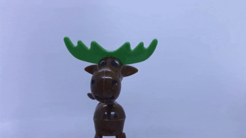 GIF by (a)phònica, Festival de la Veu de Banyoles