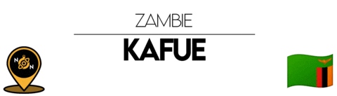 Nn Kafue Sticker by NoirNomads