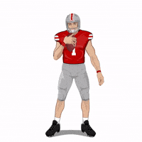 Lets Go Football GIF by Panini America