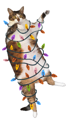Merry Xmas Funny Cats Sticker