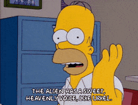 homer simpson episode 10 GIF