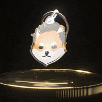 DogelonMars meme crypto doge memecoin GIF