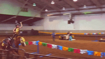 okstatefair ok horse kid riding GIF