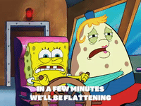 season 6 penny foolish GIF by SpongeBob SquarePants