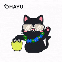 Cat Flying GIF by Ohayu eSIM