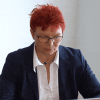 Spdbw GIF by SPD Landtagsfraktion Baden-Württemberg