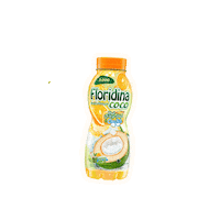 Floridina Sticker by Wings Corporation