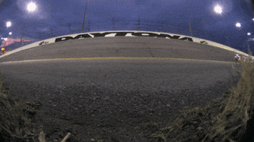 Daytona 500 Racing GIF by NASCAR