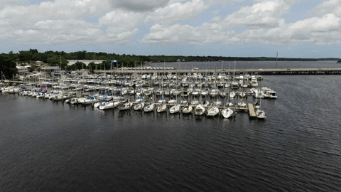 handbone giphyupload GIF