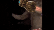 Meme Endgame GIF