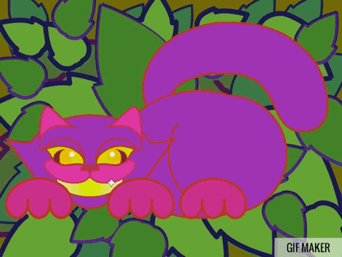 maadmurray giphyupload cat animation illustration GIF