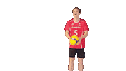 Volleyball Sticker by swissvolley