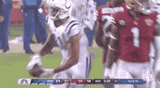 Indianapolis Colts Football GIF by NFL
