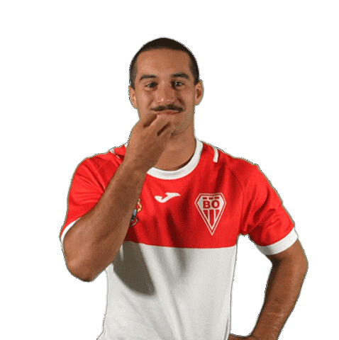 Pro D2 Spring Sticker by Biarritz Olympique Pays Basque