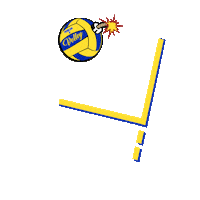 Pdvolley volleyball ace volley pallavolo Sticker