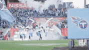 2018 Nfl Football GIF by NFL