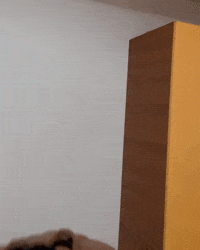 troskano hello hi good morning صباح الخير GIF