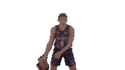 Bouncing Liga Endesa Sticker by ACB