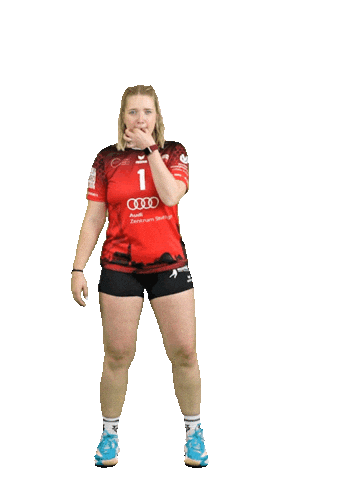 Volleyball Svf Sticker by Rotes Rudel