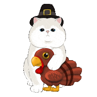 Thanksgiving Turkey Sticker by British cats cattery and Apollo cat.