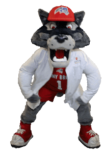 Stony Brook Sticker by Stony Brook University
