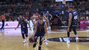 Flying Liga Endesa GIF by ACB