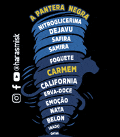 Mangalarga Marchador GIF by Haras Misk