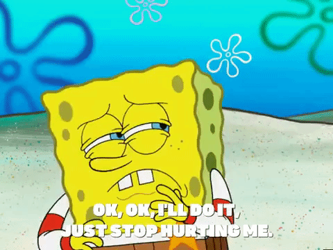 season 5 GIF by SpongeBob SquarePants
