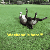 Happy Its Friday GIF by Eye Candy Jumpers