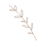 estudiosolemio plant boho beige rama Sticker