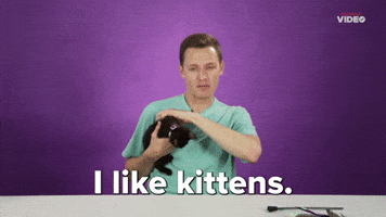 I Like Kittens