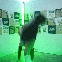 South Florida Volleyball GIF by USF Athletics
