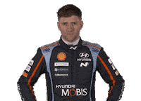 Hyundai Rallying Sticker by FIA World Rally Championship